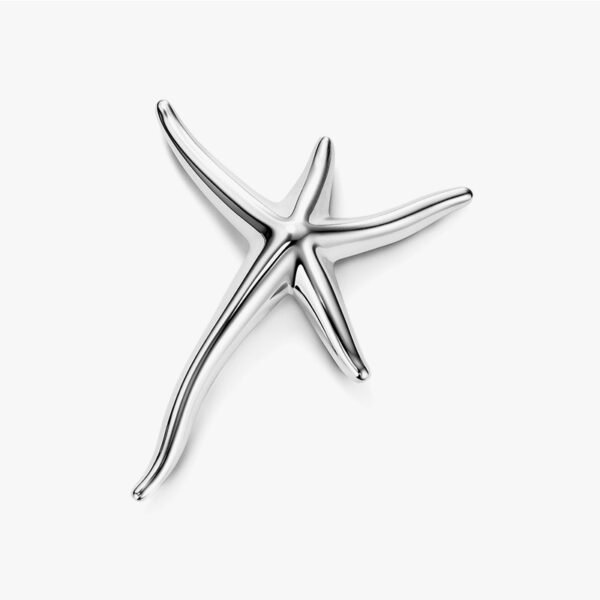 Starfish brooch sterling silver
