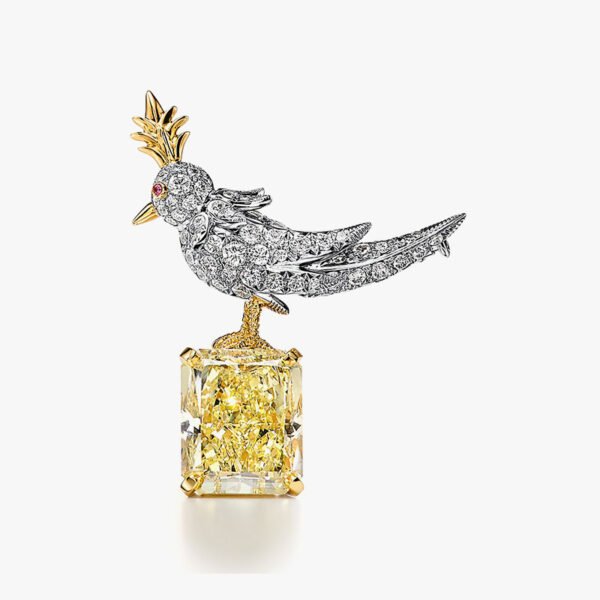 Brooch Fancy Intense Platinum Gold